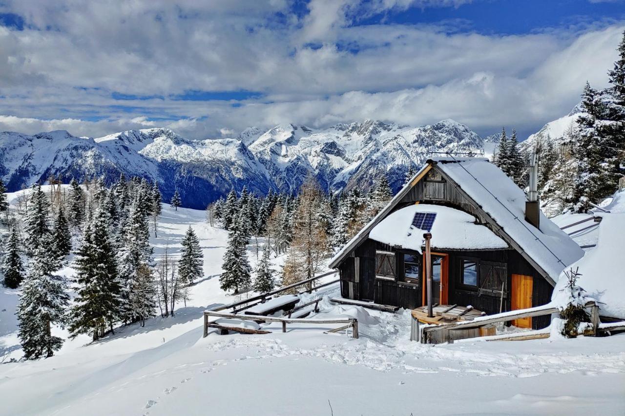 Chalet Zlatica Velika Planina Stahovica المظهر الخارجي الصورة