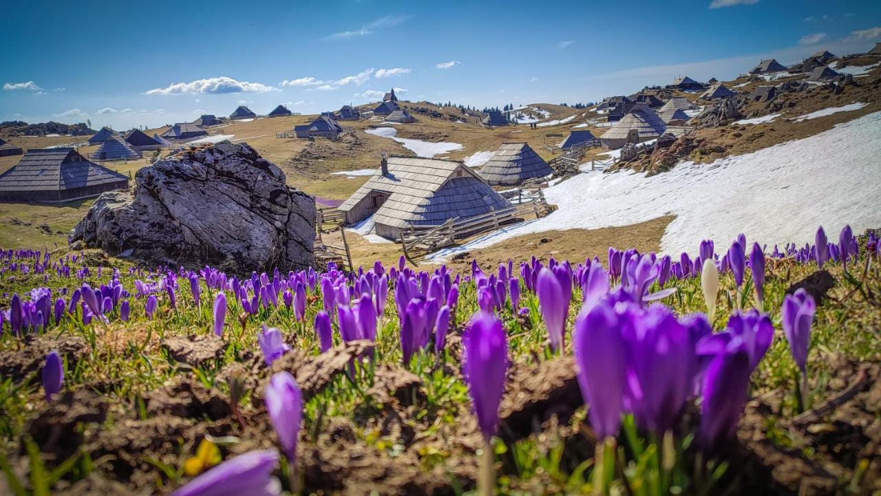 Chalet Zlatica Velika Planina Stahovica المظهر الخارجي الصورة