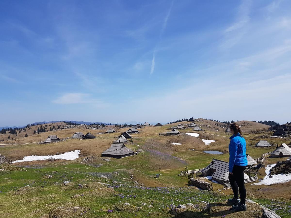 Chalet Zlatica Velika Planina Stahovica المظهر الخارجي الصورة