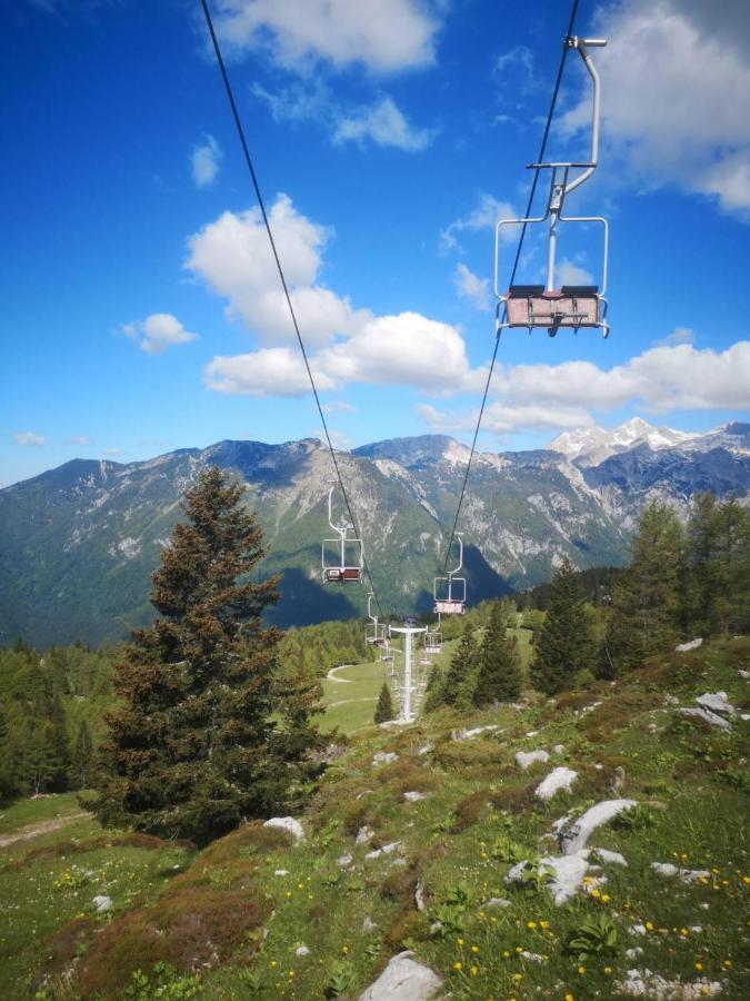 Chalet Zlatica Velika Planina Stahovica المظهر الخارجي الصورة