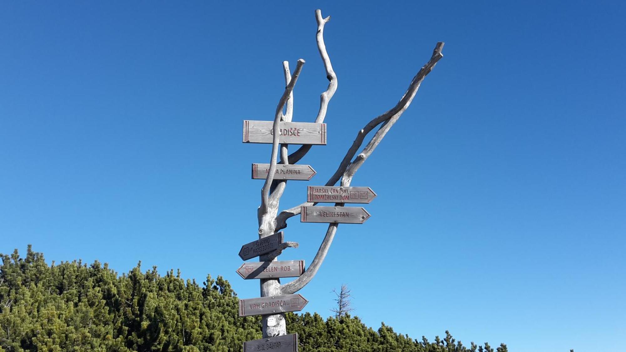 Chalet Zlatica Velika Planina Stahovica المظهر الخارجي الصورة