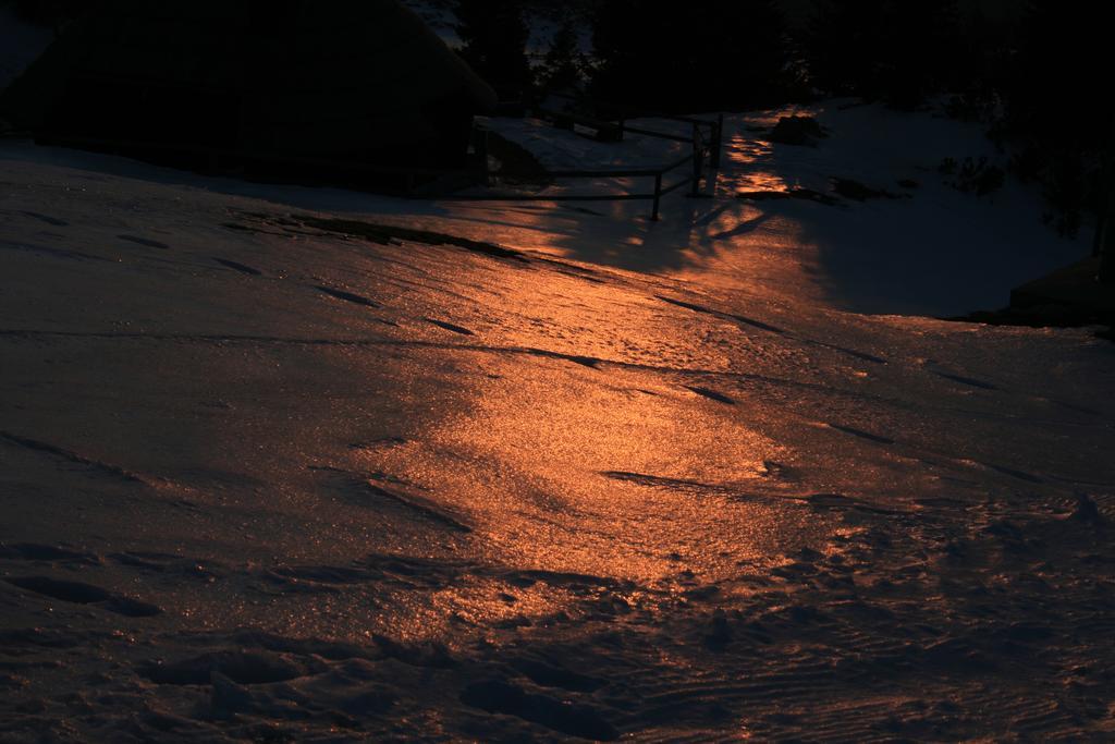 Chalet Zlatica Velika Planina Stahovica المظهر الخارجي الصورة