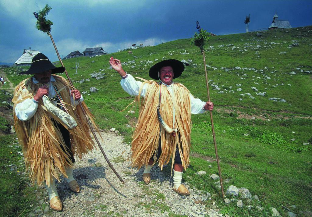 Chalet Zlatica Velika Planina Stahovica المظهر الخارجي الصورة