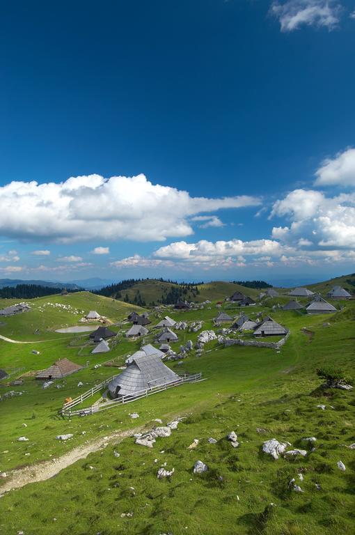 Chalet Zlatica Velika Planina Stahovica المظهر الخارجي الصورة