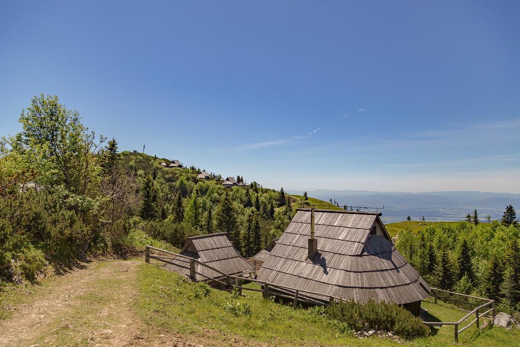 Chalet Zlatica Velika Planina Stahovica المظهر الخارجي الصورة